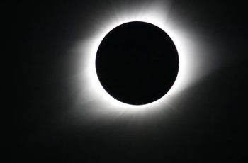 Eclipse solar total em 12 de agosto de 2026 provoca mudanças no comportamento animal, segundo pesquisadores da UCM 10 Eclipse solar em agosto: o que acontece com os animais e como isso altera seus ciclos naturais?