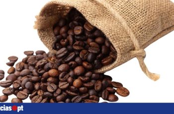 Café encerra junho a 248,90 centavos de dólar por libra, queda de 2,8% em relação a maio 4 DNOTICIAS.PT