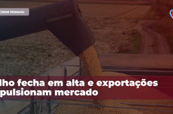 Milho avança e contrato para setembro de 2026 supera R$ 70 por saca 2 Milho fecha em alta e exportações impulsionam mercado
