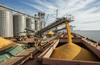 Soja encerra o primeiro semestre de 2026 com preço médio de R$ 134,00 por saca, alta de 8% em relação ao ano anterior 12 Cotação da soja melhora, mas produtor não vê a cor do dinheiro