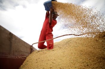 Soja encerra em alta de 4,44%, cotada a US$ 11,92 por bushel na Bolsa de Chicago 3 Soja registra forte ganho em Chicago com clima nos EUA e demanda chinesa