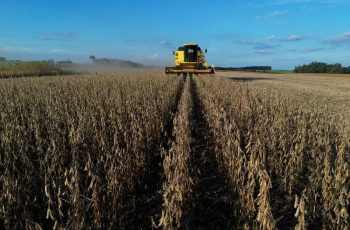Soja encerra em alta de 0,34%, cotada a US$ 11,94 por bushel na Bolsa de Chicago 2 Soja sobe em Chicago com demanda chinesa e petróleo em alta