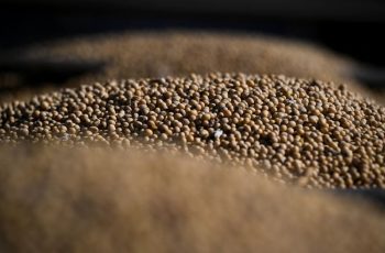 Soja encerra em alta de 1,93%, cotada a US$ 12,26 por bushel na Bolsa de Chicago 6 Soja sobe quase 2% em Chicago com oferta apertada e demanda aquecida