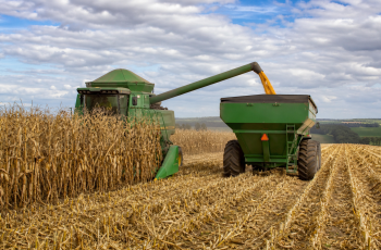 Colheita de milho em Mato Grosso do Sul alcança 37,3% da área cultivada até 31 de junho de 2026 8 Mato Grosso do Sul registra 37% da colheita de milho 2025/26