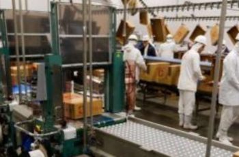 Taxa de desocupação em Pernambuco cai de 10,37% para 8,33%, segundo IBGE 2 Pernambuco registra menor taxa de desemprego para o segundo trimestre desde 2015