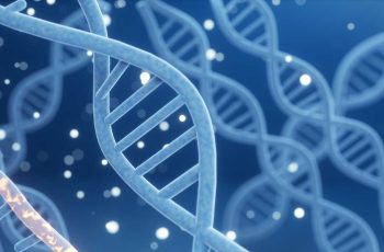 Breach at Baylor Genetics Affects 2.8 Million, Exposes Sensitive Medical Data 3 Baylor Genetics data breach may have affected 2.8 million people