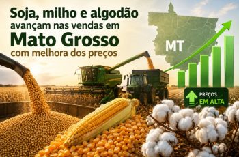 Soja em Mato Grosso encerra julho com preço de R$ 121,11 por saca, alta de R$ 6,18 8 Soja, milho e algodão avançam nas vendas em Mato Grosso com melhora dos preços