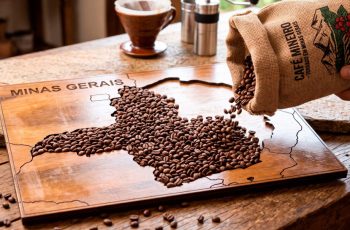 Cotações do café encerram com arábica a R$ 1.900 pela saca de 60 quilos nesta terça-feira (18) 6 TV KZ - Cotação do café chega a R$ 1.900 por saca em cidade mineira nesta terça-feira (18), veja os preços