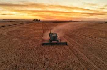 PIB do agronegócio brasileiro cai 2,01% no primeiro trimestre de 2026, totalizando R$ 3,13 trilhões, segundo Cepea/CNA 1 PIB-Agro/CEPEA: Após forte avanço em 2025, PIB do agro recua 2% no 1º tri