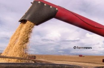 Soja encerra agosto a R$ 150,30 por saca, o maior patamar desde 2023 12 Preço da soja em recuperação alcança maior patamar desde 2023