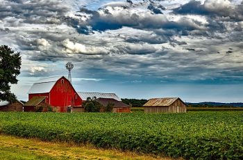 Soja registra queda de 1% e encerra a US$ 11,62 por bushel em Chicago 11 Preços da soja caem em Chicago devido a chuvas nos EUA