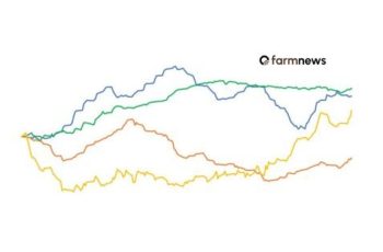 Soja encerra a primeira quinzena de agosto de 2026 cotada a R$149,00 por saca, com alta de 2,8% 8 Preço do bezerro, boi gordo, milho e soja na 1ª metade de agosto de 2026