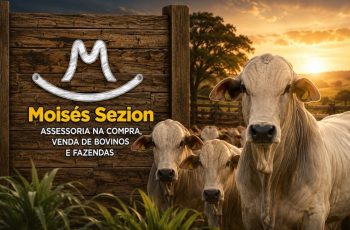Soja é negociada a R$ 125,00 por saca em Jataí nesta sexta-feira (14) 1 Soja chega a R$ 125 em Jataí; milho alcança R$ 54 e boi é cotado a R$ 335 nesta sexta-feira (14)