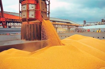 Milho encerra semana com valorização de 1,07%, a R$ 43,06/saca no IMEA 4 Preço do milho em Mato Grosso sobe 1% e exportações