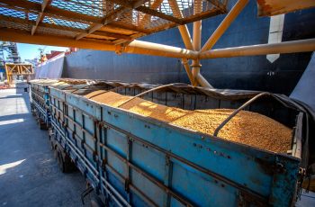 Exportações brasileiras de milho em julho somam 1.943.229 toneladas, com média diária de 84.488,2 toneladas. 12 Brasil fecha julho com 1,9 milhão de toneladas de milho exportadas e...