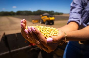 Soja avança 1,10% e fecha a US$ 12,37 por bushel na bolsa de Chicago 1 Soja fecha em alta de 1,10% em Chicago com piora na safra dos EUA