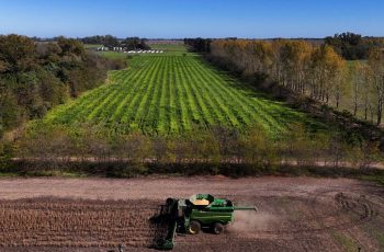 Soja avança 20,5 centavos e fecha a US$ 12,3725 por bushel em Chicago 1 Imagem captada por drone mostra uma colheitadeira trabalhando em uma plantação de soja em San Andrés de Giles, nos arredores de Buenos Aires, na Argentina