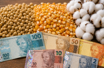 Soja fecha em alta, com preço médio de R$ 121,11 por saca após valorização de R$ 6,18/sc 6 Imea relata avanços nas vendas de soja, milho e algodão após melhora dos...
