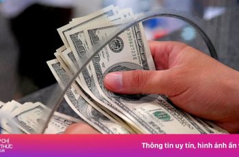 Dólar recua para 25.594 dong após queda de 9 dong na taxa de câmbio central do Vietnã 3 Vietnam.vn - Nền tảng quảng bá Việt Nam