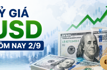 Dólar encerra estável a 26.031 VND/USD nesta terça-feira 8 Vietnam.vn - Nền tảng quảng bá Việt Nam
