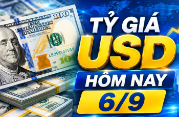 Dólar encerra estável a 25.605 VND/USD no mercado vietnamita 1 Vietnam.vn - Nền tảng quảng bá Việt Nam