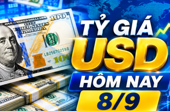 Dólar encerra em queda, cotado a 26.150 VND/USD no Vietcombank em 8 de setembro de 2026 10 Vietnam.vn - Nền tảng quảng bá Việt Nam