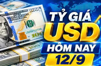 Dólar americano encerra em 25.700 VND para compra e 26.110 VND para venda em 12 de setembro de 2026 8 Vietnam.vn - Nền tảng quảng bá Việt Nam