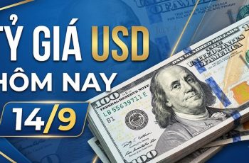 Dólar encerra estável a 25.596 VND/USD no Vietnã em 14 de setembro 3 Vietnam.vn - Nền tảng quảng bá Việt Nam