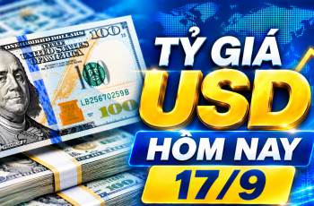 Dólar encerra em alta, cotado a 26.022 VND/USD para venda em 17 de setembro de 2026 8 Vietnam.vn - Nền tảng quảng bá Việt Nam