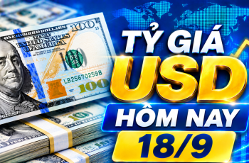 Dólar americano encerra cotado a 25.790 VND para compra e 26.200 VND para venda em 18 de setembro de 2026 2 Vietnam.vn - Nền tảng quảng bá Việt Nam