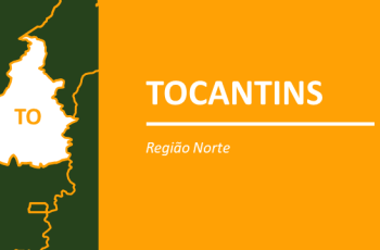 Boi gordo fecha em alta de 2,1%, cotado a R$ 341,50 a arroba na região Norte do Tocantins 2 Foto: Scot Consultoria