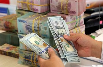 Dólar recua para 26.170 dongs na venda, com redução de até 130 dongs nos bancos comerciais 7 Vietnam.vn - Nền tảng quảng bá Việt Nam