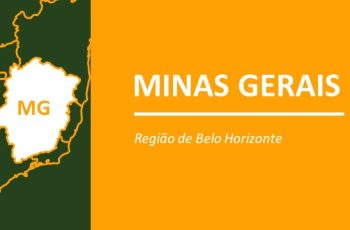 Arroba do boi gordo avança 1,8% e é negociada a R$ 334,50 em Belo Horizonte 11 Foto: Scot Consultoria