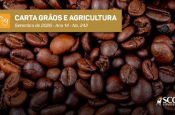 Café arábica encerra setembro de 2026 cotado a R$ 1.722,53, queda de 23% em 13 meses 5 Foto: Scot Consultoria
