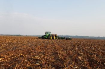 Soja avança para 1,15% da área cultivada na safra 2026/27 em Mato Grosso, superando a média dos últimos cinco anos. 4 Plantio de soja em Mato Grosso avança para 1,15% da área prevista