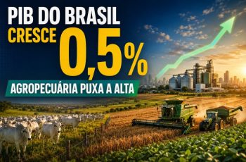 PIB do Brasil cresce 0,5% no segundo trimestre de 2026, impulsionado pela agropecuária 10 PIB do Brasil cresce 0,5% no segundo trimestre, puxado pela agropecuária