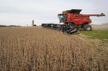 Soja fecha a US$ 12,095 por bushel, com queda de 0,28% na Bolsa de Chicago 11 Soja registra queda com incertezas sobre compras da China