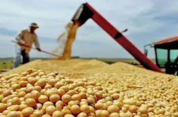 PIB brasileiro cresce 0,5% no segundo trimestre de 2026, segundo IBGE 6 Pib Do Brasil Cresce 0,5% No Segundo Trimestre