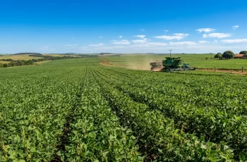 Soja em Mato Grosso registra alta de 1,63% e preço da saca atinge novo patamar 3 Plantação verde de soja sob céu azul ensolarado com máquina agrícola ao fundo