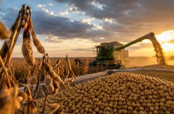 Soja encerra em R$ 162 a R$ 164 por saca no Brasil após alta nos preços internacionais 5 Cotação da soja passa de US$ 13 e mercado brasileiro registra máxima em quatro anos