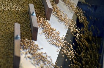Soja fecha em alta de 0,60%, a US$ 12,96 por bushel na Bolsa de Chicago 6 Soja avança em Chicago com suporte de embarques dos EUA