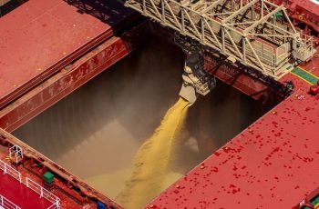 Soja fecha em queda de 0,06%, a US$13,1975 por bushel na bolsa de Chicago 2 Soja opera com variações mínimas em Chicago nesta quinta