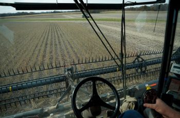 Soja atinge preço à vista de US$ 14,175 por bushel devido a escassez de oferta e aumento na demanda 5 Preços à vista da soja sobem nos EUA e geram lucro para agricultores