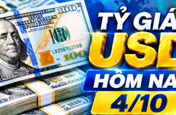 Dólar americano encerra a semana em alta de 0,94%, a 101,92 pontos no Índice DXY 6 Vietnam.vn - Nền tảng quảng bá Việt Nam
