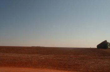 Safra de soja do Brasil atinge 182,7 milhões de toneladas, recorde para 2026/27, segundo AgRural 4 AgRural eleva previsão da safra de soja para 182,7 milhões de toneladas