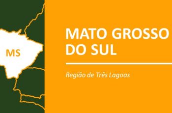 Boi gordo encerra em alta de 1,4%, cotado a R$ 361,00/@ 12 Foto: Bela Magrela