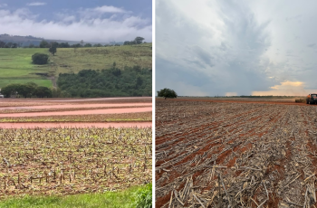 Safra de soja 2026/27 avança lentamente com 15,6% da área plantada até 9 de outubro, enquanto clima irregular impacta produção no Brasil 9 Do excesso à falta de água: irregularidade marca plantio da soja 26/27, que avança em ritmos diferentes pelo BR
