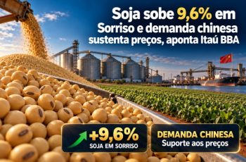 Soja registra alta de 9,6% e fecha a R$ 142 por saca em Sorriso (MT) em setembro 4 Soja sobe 9,6% em Sorriso e demanda chinesa sustenta preços, aponta Itaú BBA