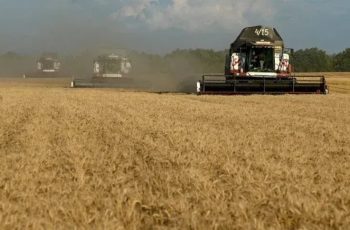 Soja encerra em baixa de 1,11%, cotada a US$ 12,63 por bushel 5 Soja, milho e trigo fecham em queda na Bolsa de Chicago