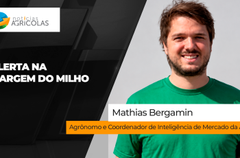 Plantio irregular da soja pode comprometer margem do milho safrinha 2027, alerta Aegro